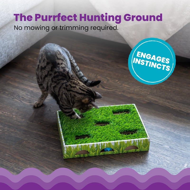 Catstages Grass Patch Hunting Box - Interactive Indoor Cat Toy with Faux Grass & 3 Jingle Balls - Encourages Exercise, Mental Stimulation & Natural Hunting Instincts - Image 4